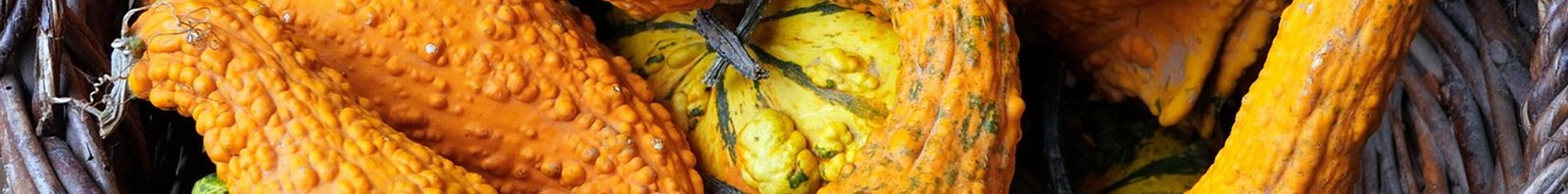 about-benner